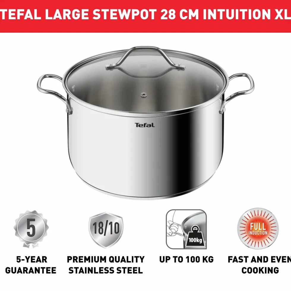 Tefal Intuition Garnek Indukcyjny z Pokrywką, Srebrny, ⌀28 cm/8L