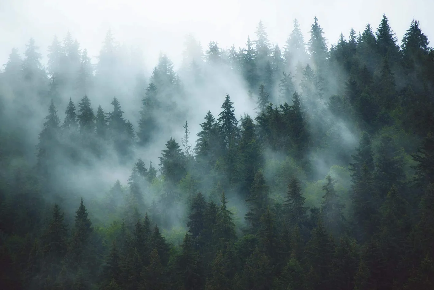 YISURE Misty Gobelin leśny, Gobelin ści enny Mgliste Drzewo, Duży Gobelin Natura Sosna Las Sztuka ścienna do sypialni Salon, 91"W x 71"L
