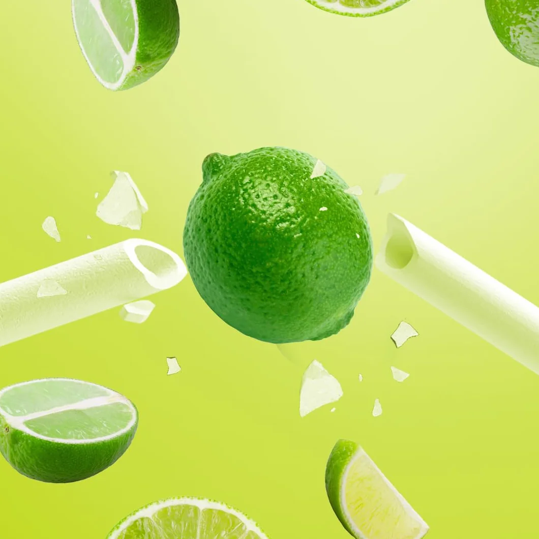Sorbos - Słomki jadalne o smaku limonki. Zrównoważony, indywidualnie pakowany, wolny od alergenów, bezglutenowy, w 100% biodegradowalny (200 sztuk)