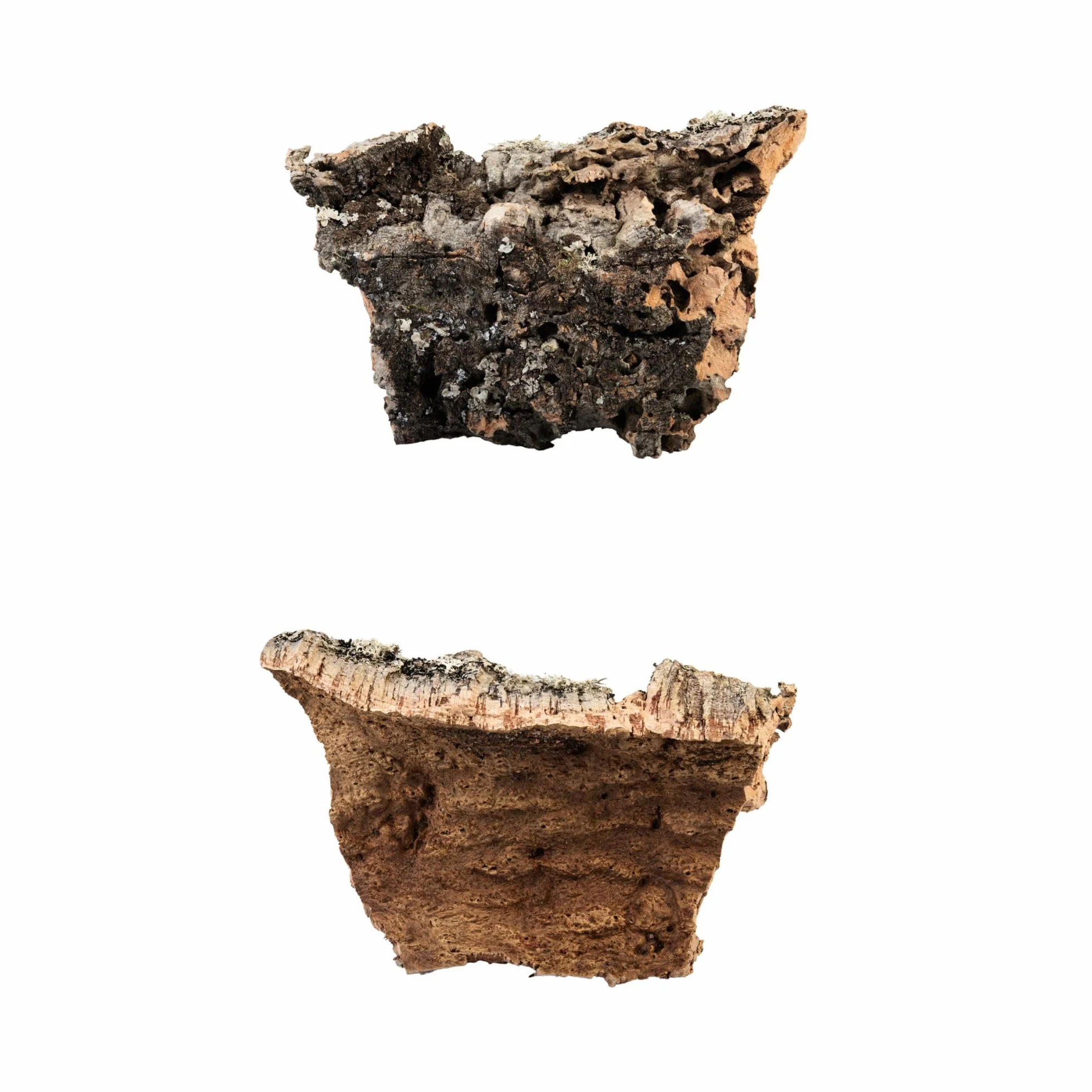 W 100% naturalna kaseta z korka, wyprodukowana we Włoszech, do szopki dla majsterkowiczów, do majsterkowania (1 kg)