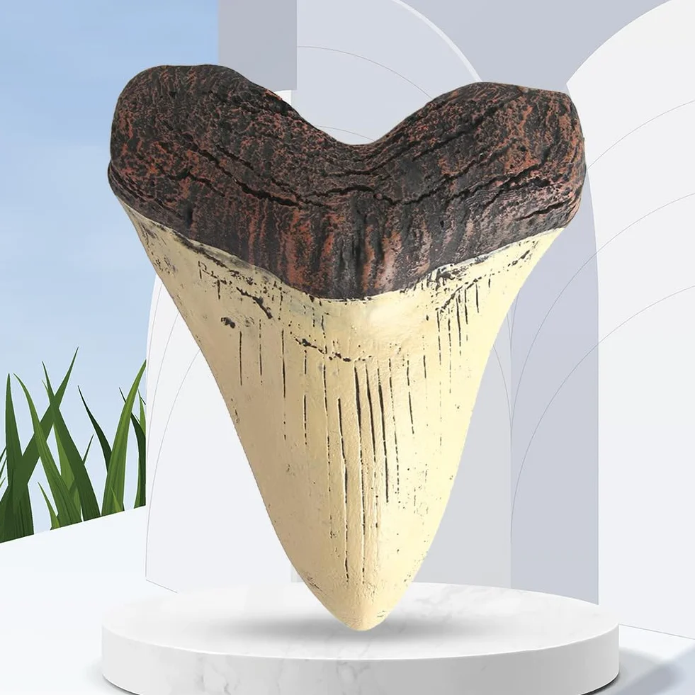 HTU 5 cali gigantyczny ząb megalodon łatwe do czyszczenia żywica zęby rekina dekoracja wnętrz replika zęba rekina biologia morska rekwizyty do nauczania dla dzieci dzieci
