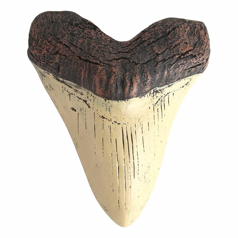 HTU 5 cali gigantyczny ząb megalodon łatwe do czyszczenia żywica zęby rekina dekoracja wnętrz replika zęba rekina biologia morska rekwizyty do nauczania dla dzieci dzieci