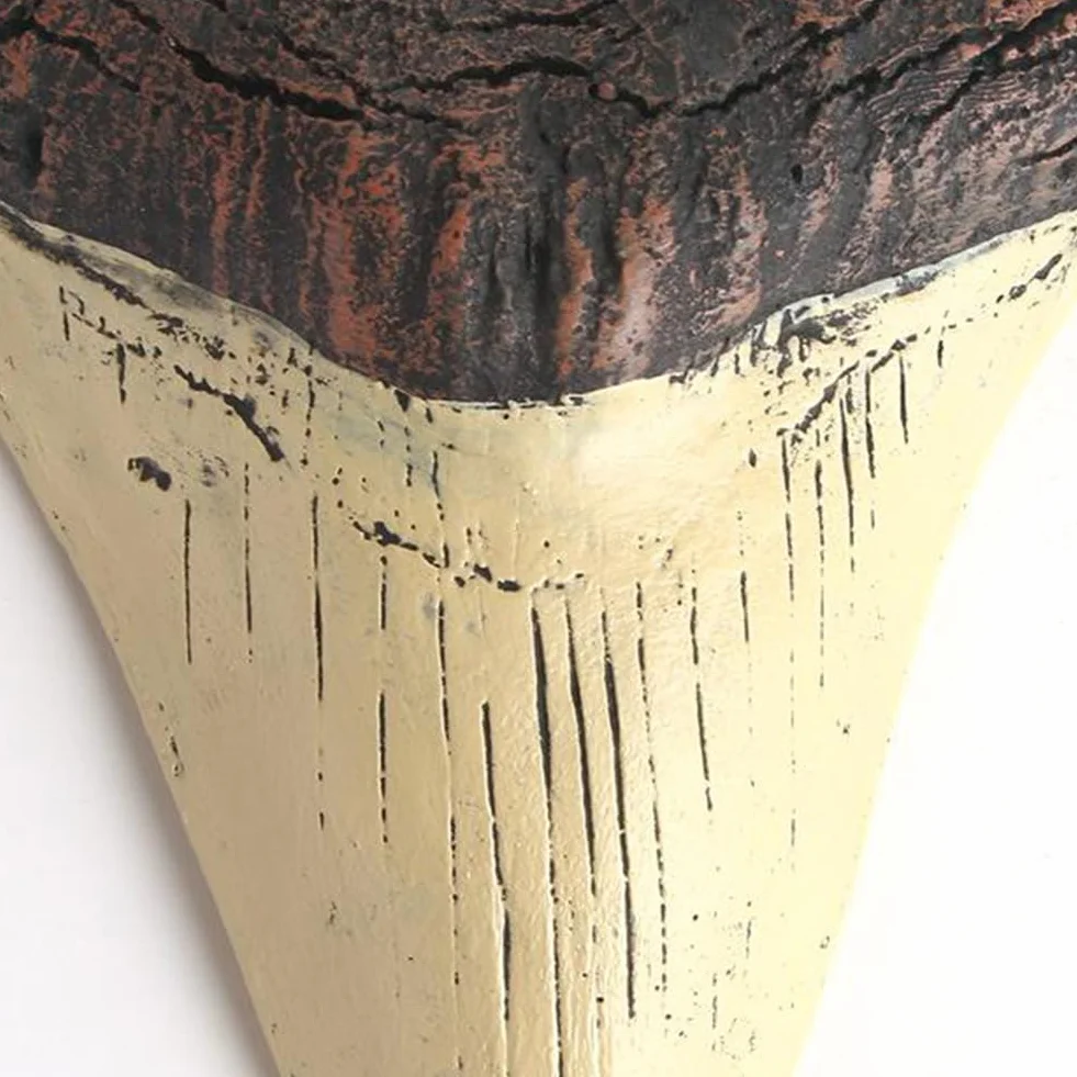 HTU 5 cali gigantyczny ząb megalodon łatwe do czyszczenia żywica zęby rekina dekoracja wnętrz replika zęba rekina biologia morska rekwizyty do nauczania dla dzieci dzieci