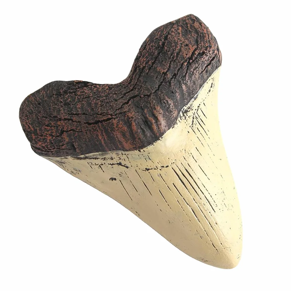 HTU 5 cali gigantyczny ząb megalodon łatwe do czyszczenia żywica zęby rekina dekoracja wnętrz replika zęba rekina biologia morska rekwizyty do nauczania dla dzieci dzieci